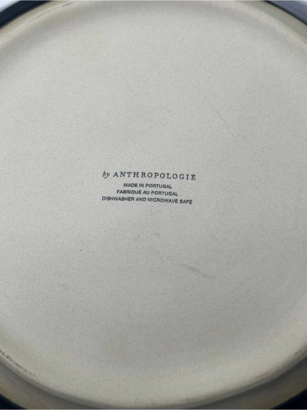 Anthropologie Old HavanaGlazed Stoneware Pasta/Soup Bowl - Slate Gray (Set of 4)